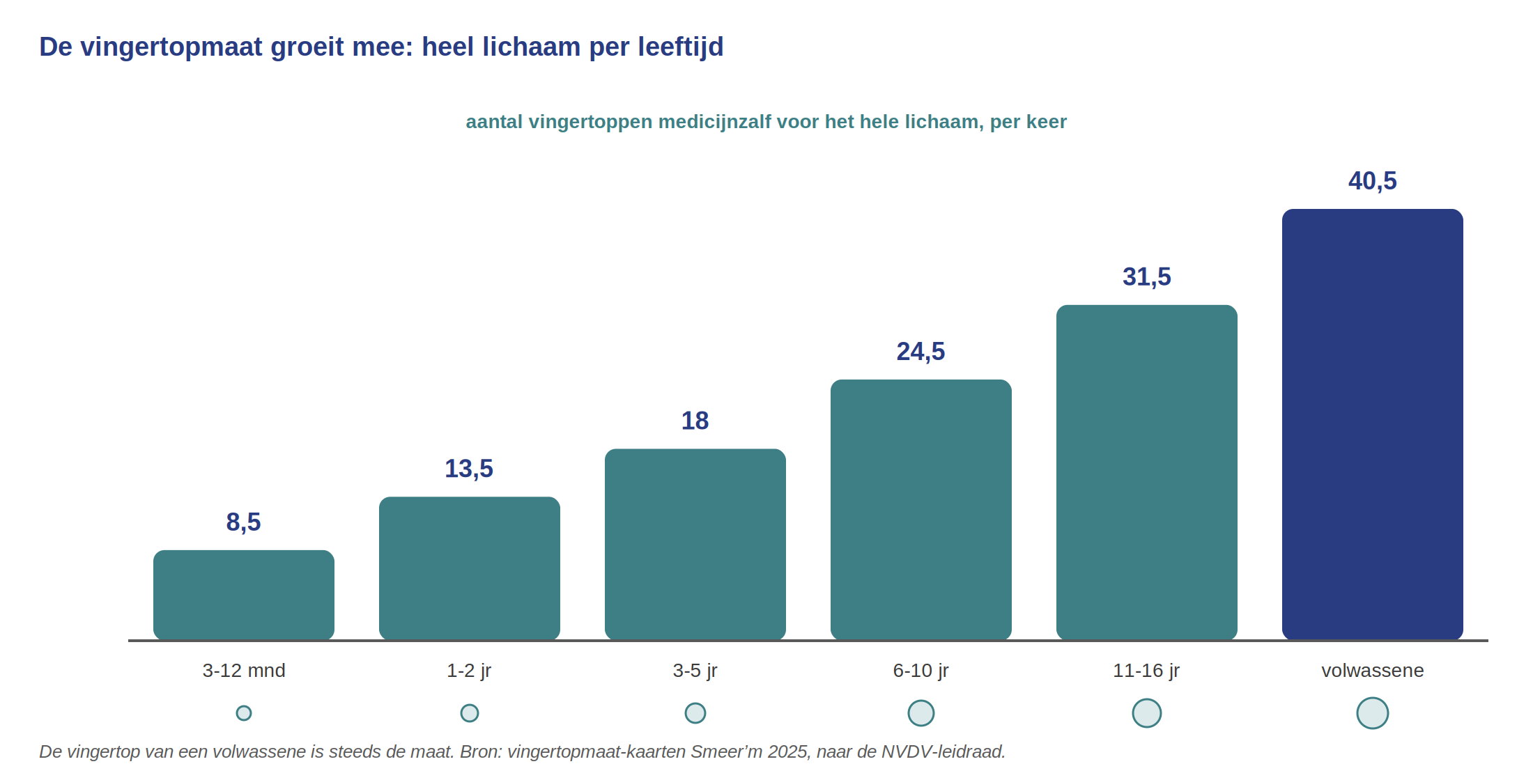 Schema in vier fasen
